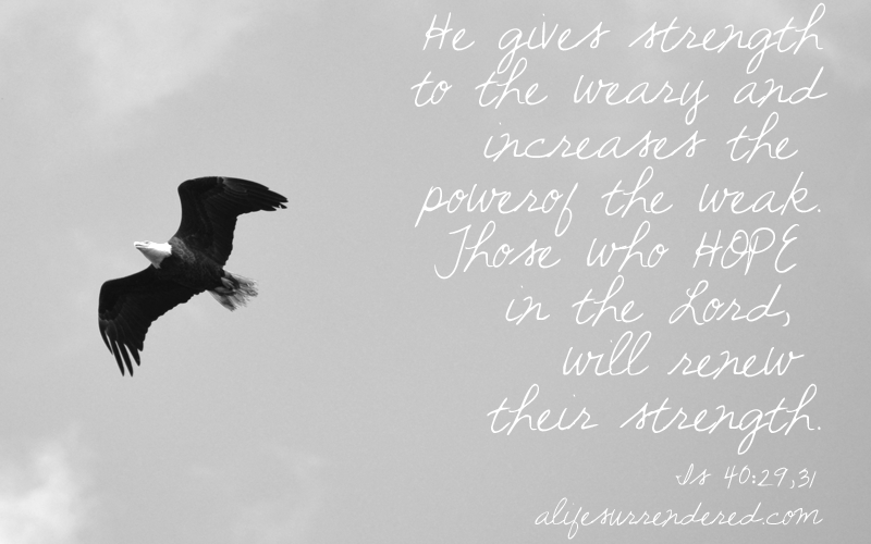 “He gives strength to the weary and increases the power of the weak…those who hope in the Lord will renew their strength.” (Is 40:29,31 NIV)