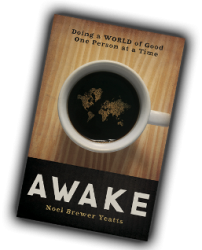 Awake Book http://noelyeatts.com/awake/