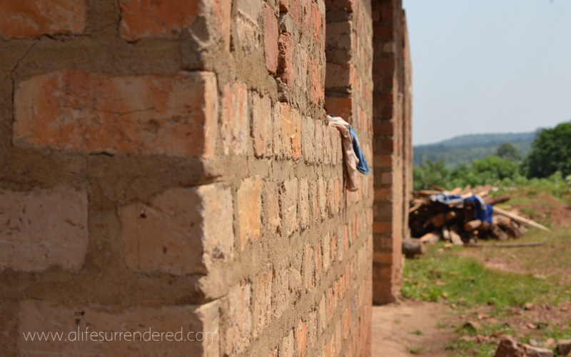 Rescue-is-for-life-6