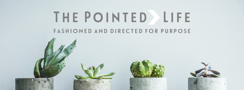 The Pointed Life: Fashioned and Directed for Purpose