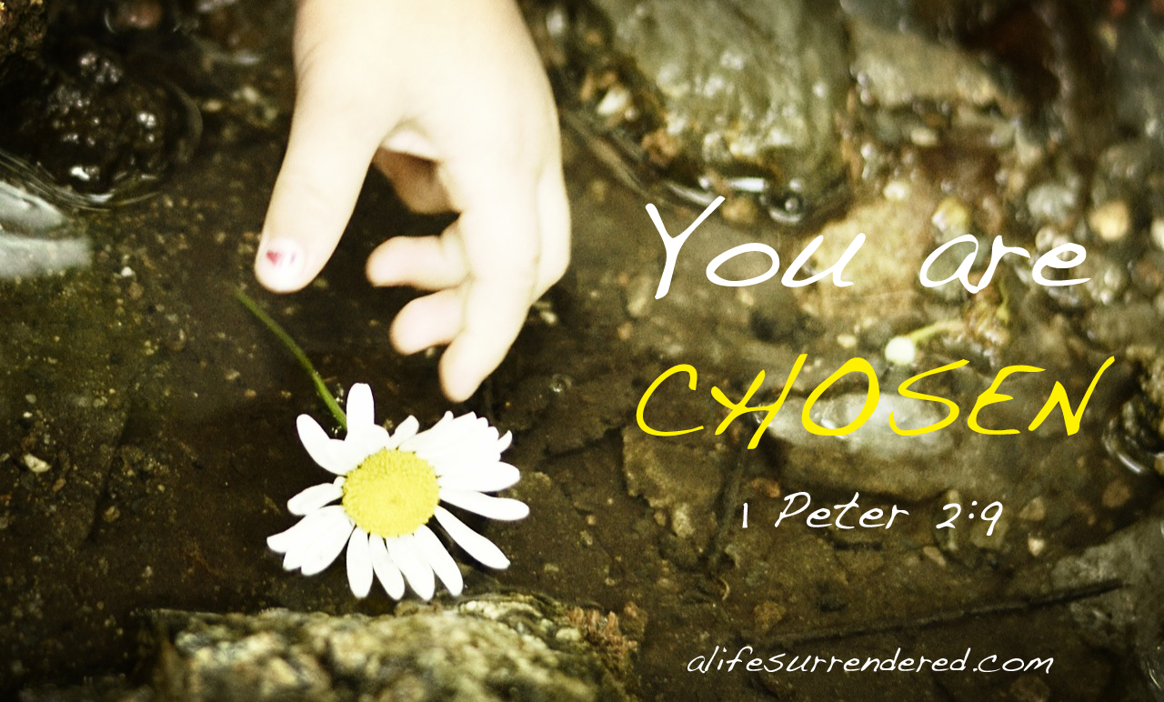You are Chosen… [Dream Again Day 26]