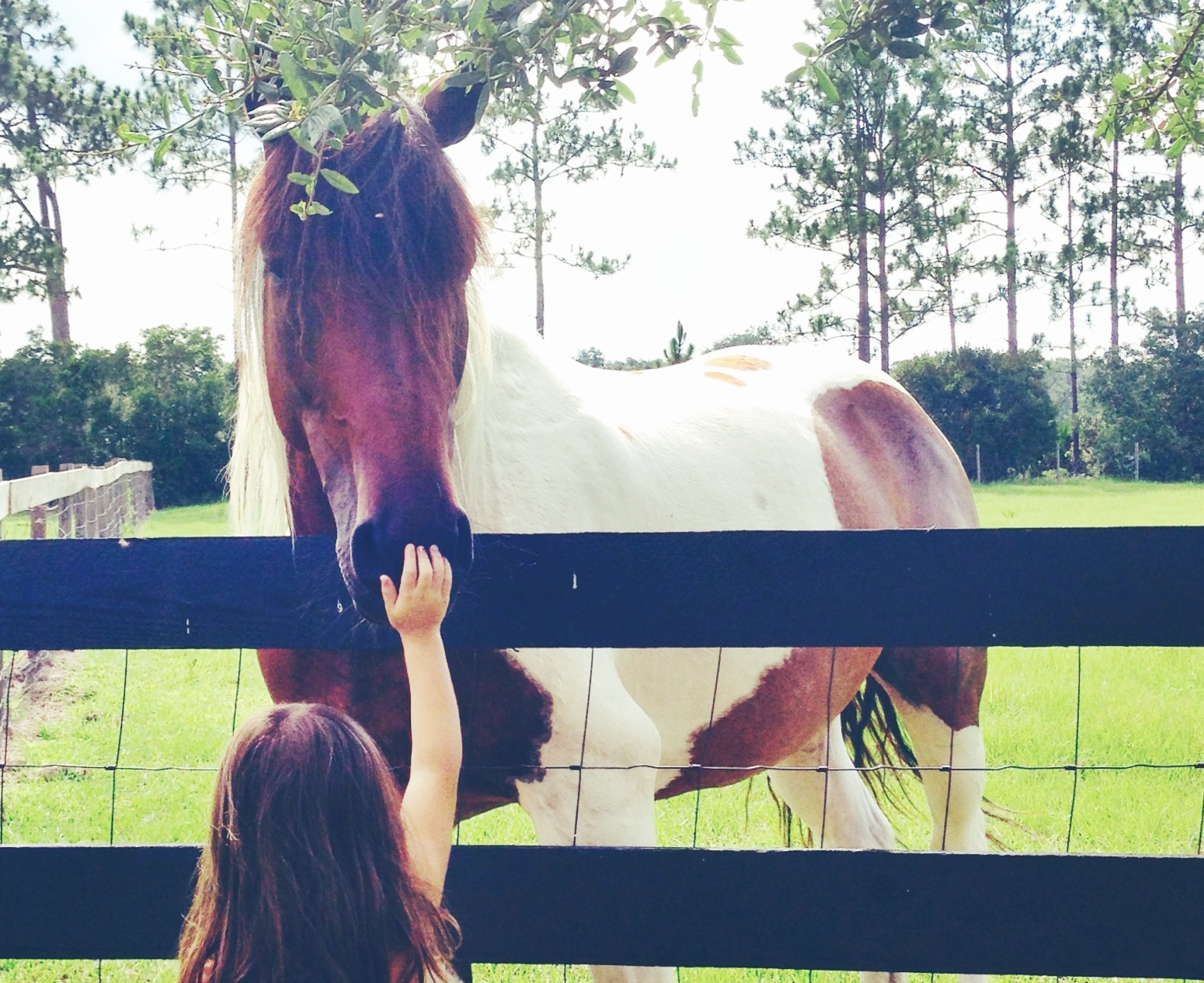 Living Intentionally Takes Practice